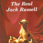 Jakt11 The Real Jack Russell