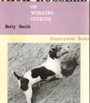 Jakt9 The Jack Russell Or Working Terrier