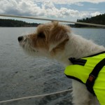 Min seglarparson Ziggy