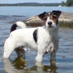 Min badparson Pepci