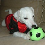 Min fotbollsparson Hera