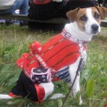 Min parsonstinta Penny