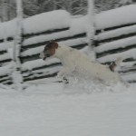 Min snöparson Peppelinen