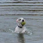 Min tennisbollsparson Bea