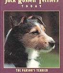 ras2 Jack Russell Terriers Today. The Parson's Terrier
