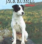 ras5 The Ultimate Jack Russell Terrier