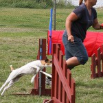 IMG_1860