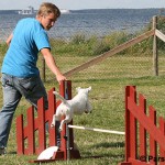IMG_1892