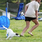 IMG_2127_ljusare