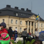 P1030370 P1030370