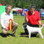 Fengerfors 2010-06-05 BIR  Bravo