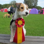 Gimo 2012-09-09 BIR Minnepy's Kall Me La Belle Domare Ann Tove Strande