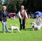 Ronneby 2011-08-13  BIR Tumbling Water  BIM Nado Shiz's Tacoma X-RunnerDomare August de Wilde, Belgien