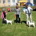 Österbybruk 2012-05-27 BIR Danscan's Sissela BIM Nado Shiz's Tundra CraftsmanDomare Laura Cox